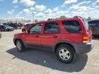 2002 Ford Escape XLT