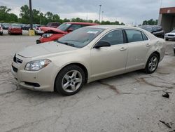 Salvage cars for sale at Fort Wayne, IN auction: 2009 Chevrolet Malibu LS