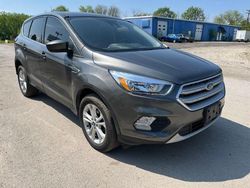Salvage cars for sale at Chicago Heights, IL auction: 2019 Ford Escape SE