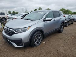 Salvage cars for sale at Elgin, IL auction: 2020 Honda CR-V EX