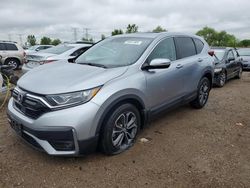 Salvage cars for sale from Copart Elgin, IL: 2020 Honda CR-V EX