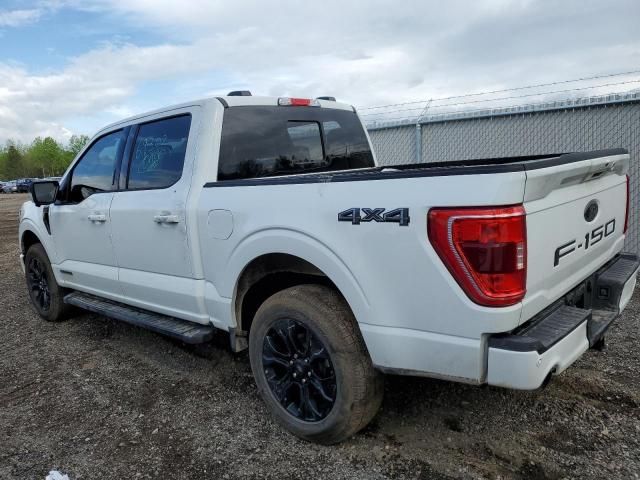 2023 Ford F150 Supercrew