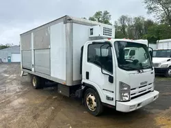 Salvage cars for sale from Copart York Haven, PA: 2014 Isuzu NQR