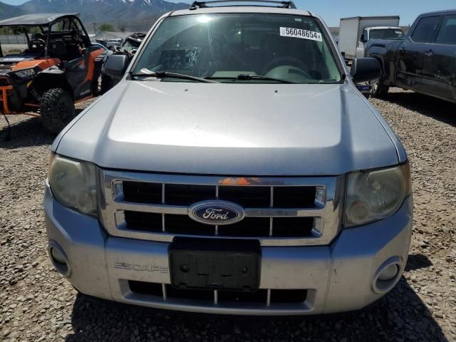 2010 Ford Escape XLT