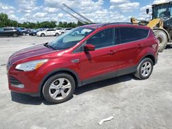 Carros dañados por granizo a la venta en subasta: 2016 Ford Escape SE