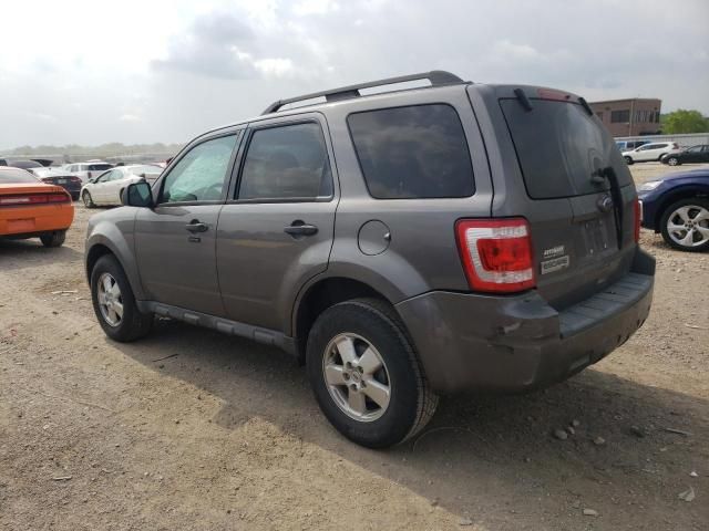 2011 Ford Escape XLT