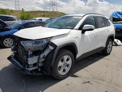 Salvage cars for sale at Littleton, CO auction: 2020 Toyota Rav4 XLE