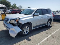 Salvage cars for sale at auction: 2013 Lexus GX 460