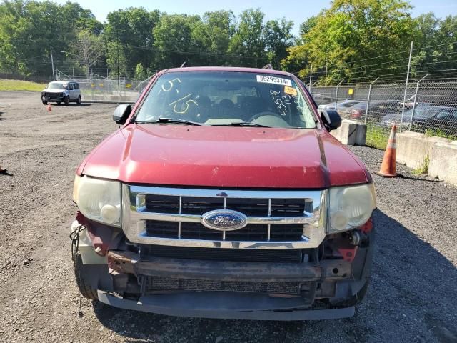 2008 Ford Escape XLT