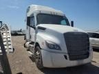 2024 Freightliner Cascadia 126