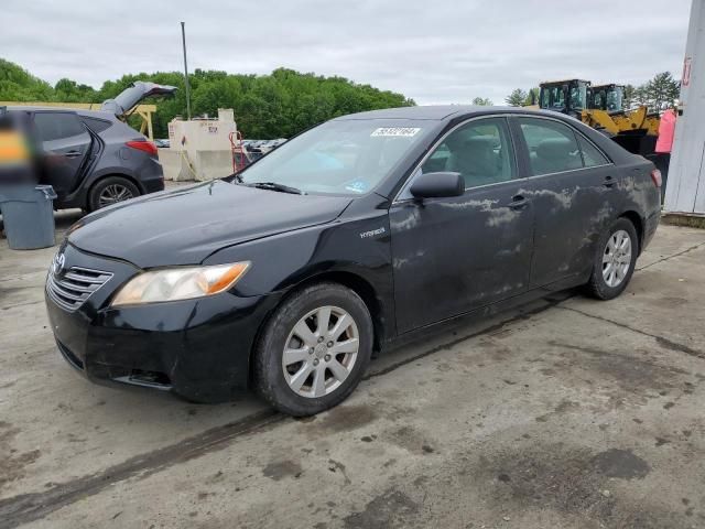 2009 Toyota Camry Hybrid