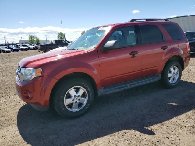 2012 Ford Escape XLT