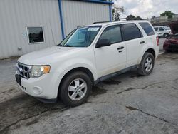 Salvage cars for sale at Tulsa, OK auction: 2011 Ford Escape XLT