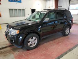 Salvage cars for sale at Angola, NY auction: 2012 Ford Escape XLT