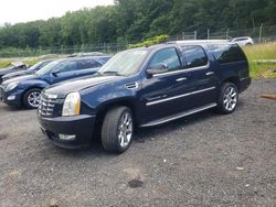 Salvage cars for sale at Finksburg, MD auction: 2009 Cadillac Escalade ESV Luxury
