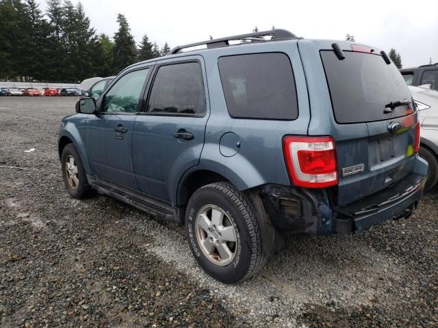 2011 Ford Escape XLT