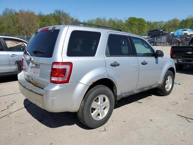 2011 Ford Escape XLT