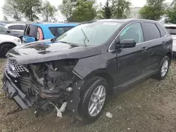 Salvage cars for sale from Copart Arlington, WA: 2024 Ford Edge SEL
