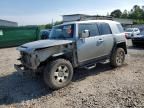 2010 Toyota FJ Cruiser