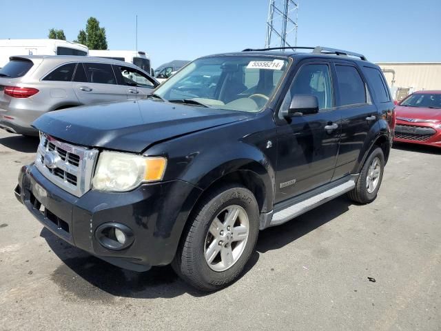 2008 Ford Escape HEV