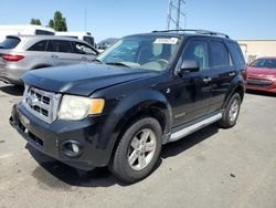 Salvage cars for sale at Hayward, CA auction: 2008 Ford Escape HEV