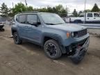 2017 Jeep Renegade Trailhawk