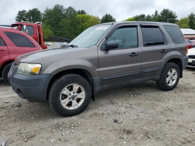 2005 Ford Escape XLT