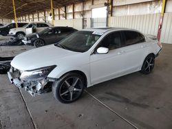 Salvage cars for sale at Phoenix, AZ auction: 2008 Honda Accord EXL