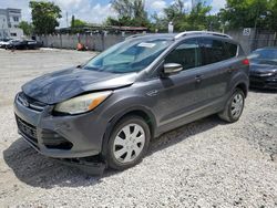Salvage cars for sale from Copart Opa Locka, FL: 2014 Ford Escape Titanium