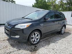 Salvage cars for sale at Baltimore, MD auction: 2013 Ford Escape SEL