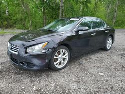 Salvage cars for sale from Copart Ontario Auction, ON: 2013 Nissan Maxima S