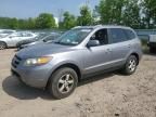 2007 Hyundai Santa FE GLS