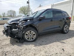 Salvage cars for sale from Copart Blaine, MN: 2020 Ford Escape SEL