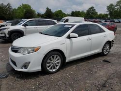 Salvage cars for sale at Madisonville, TN auction: 2013 Toyota Camry Hybrid