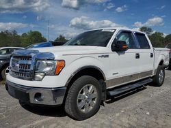 Salvage cars for sale at Madisonville, TN auction: 2013 Ford F150 Supercrew