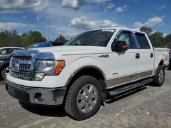 Salvage cars for sale from Copart Madisonville, TN: 2013 Ford F150 Supercrew