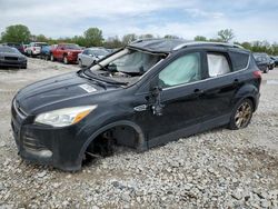 Salvage cars for sale at Des Moines, IA auction: 2015 Ford Escape Titanium