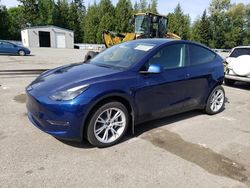 Tesla salvage cars for sale: 2023 Tesla Model Y