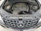 2014 Mercedes-Benz ML 350