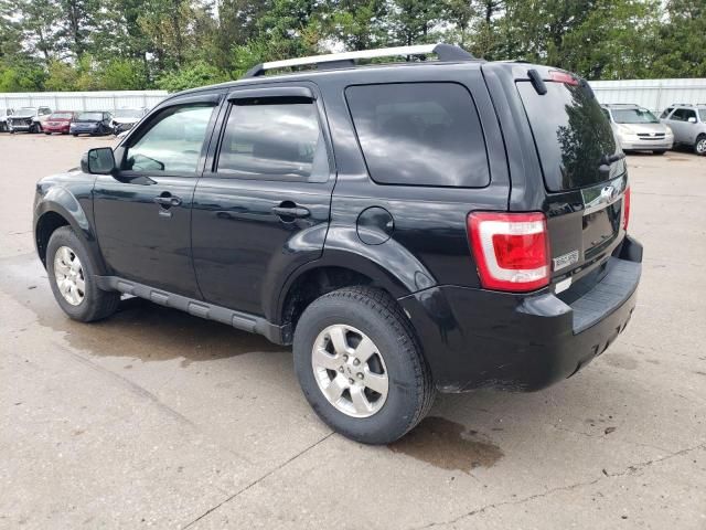 2011 Ford Escape Limited