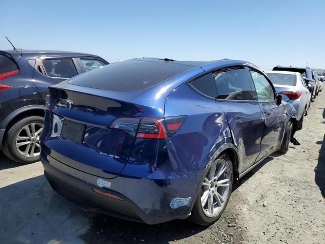 2020 Tesla Model Y