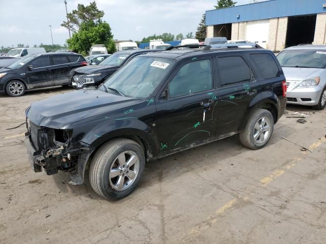 2011 Ford Escape Limited