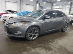 Salvage Cars with No Bids Yet For Sale at auction: 2013 Ford Focus SE