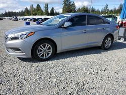 Salvage cars for sale from Copart Graham, WA: 2016 Hyundai Sonata SE