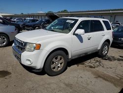 2010 Ford Escape Limited en venta en Louisville, KY