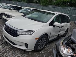 Salvage cars for sale at Madisonville, TN auction: 2021 Honda Odyssey EXL