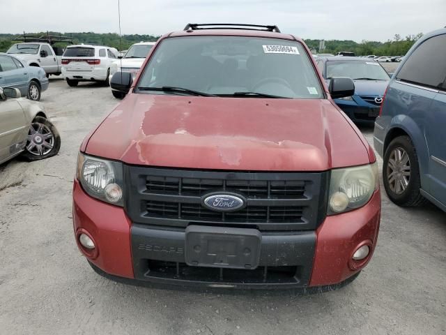 2009 Ford Escape XLT