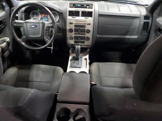 2009 Ford Escape XLT