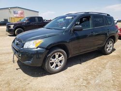 Salvage cars for sale at Amarillo, TX auction: 2010 Toyota Rav4