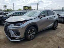 Salvage cars for sale from Copart Chicago Heights, IL: 2019 Lexus NX 300 Base